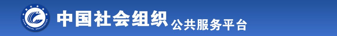 干骚啊啊啊全国社会组织信息查询